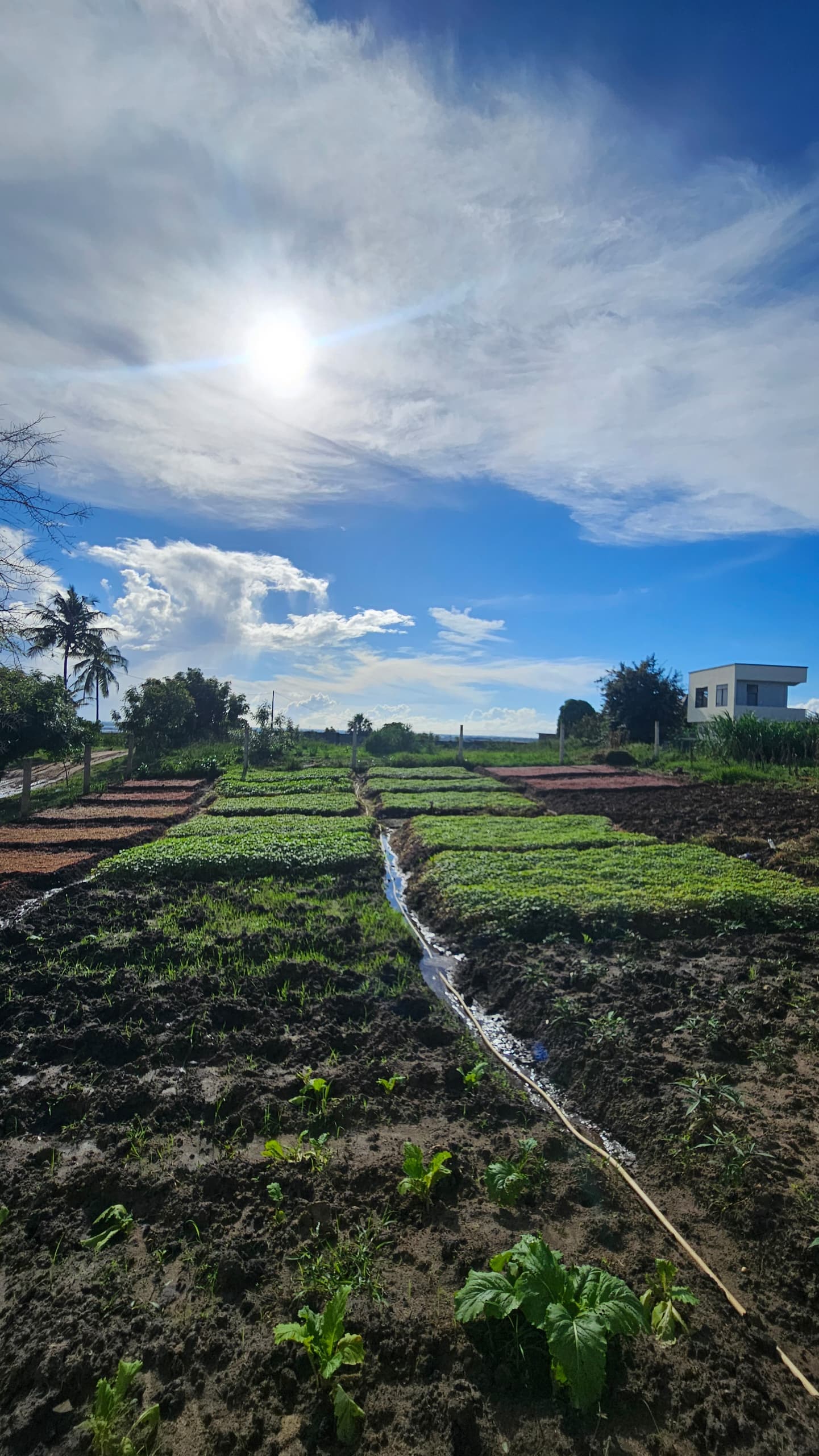 ZEIDA farm landscape